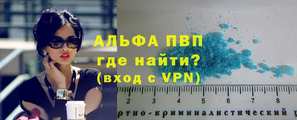 крисы Белокуриха