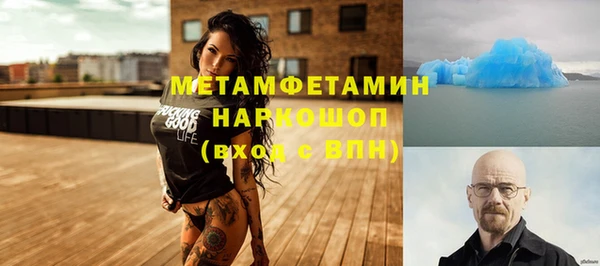 метадон Богданович