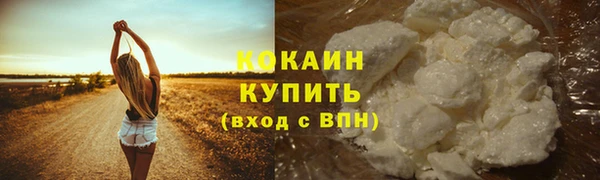 крисы Белокуриха