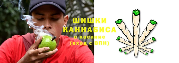 крисы Белокуриха
