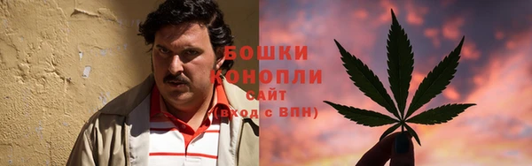 крисы Белокуриха