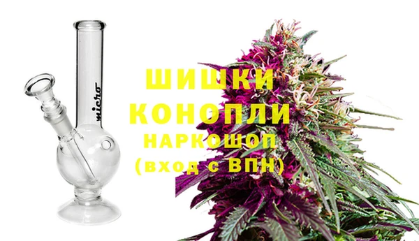 метадон Богданович