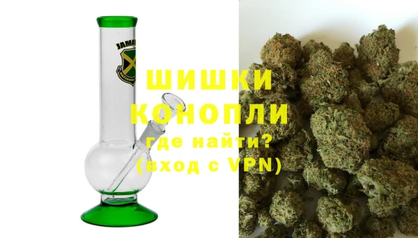 крисы Белокуриха